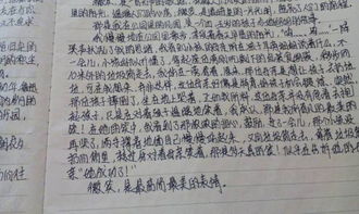 叙述作文800字