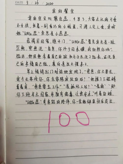 理解父亲的作文