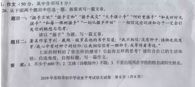 湖南英语特岗作文