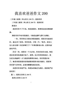 我和老爸的作文