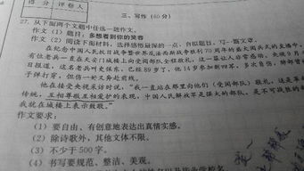 与礼仪有关的作文800字作文议论文