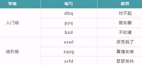 当代没有礼仪的故事