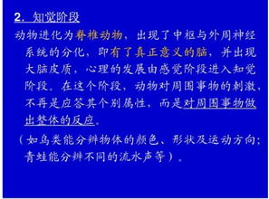 礼仪的发展经历了哪4个阶段