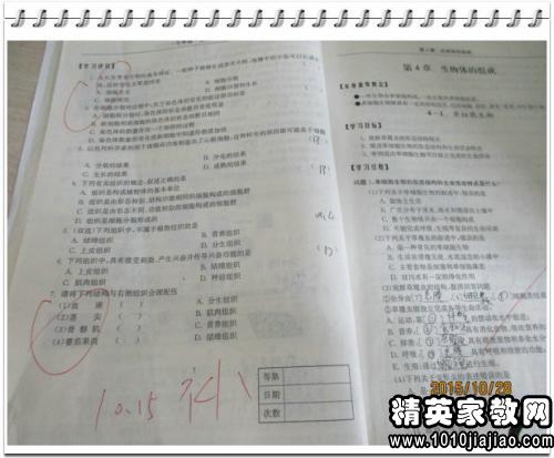 议论文关于作业是否应及时完成