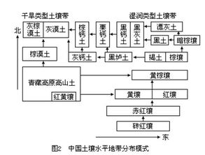 土壤分布的论文