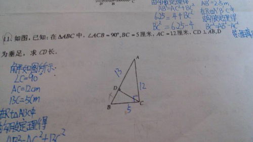 关于勾股定理的议论文