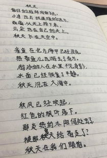 关于中学生的诗歌