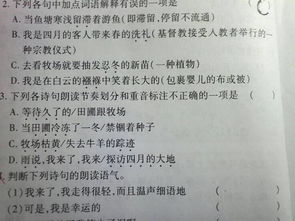 成长的困惑诗歌