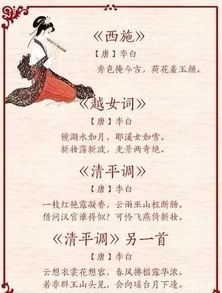 赞美,诗歌,鸭毛