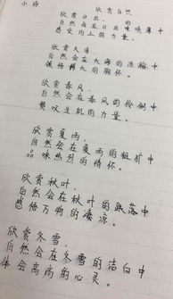 学生写的现代诗歌