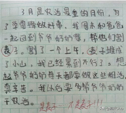 什么和什么诗歌作文,迷人的什么诗歌作文,什么是诗歌作文六百字