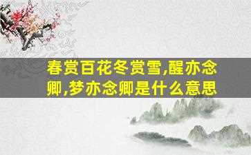 春赏百花冬赏雪,醒亦念卿,梦亦念卿是什么意思-图1