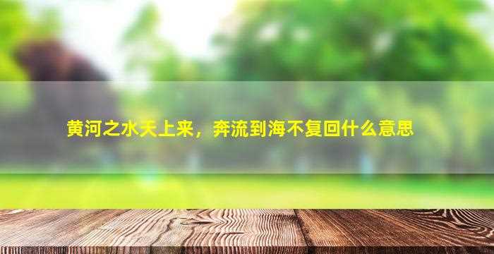 黄河之水天上来，奔流到海不复回什么意思-图1