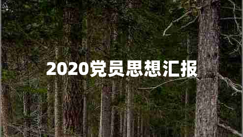 2020党员思想汇报