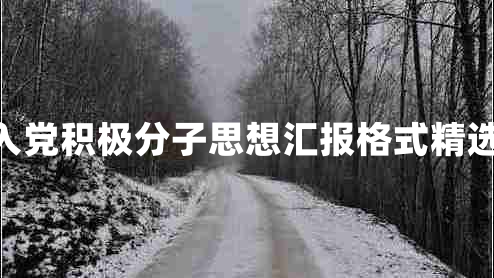 关于入党积极分子思想汇报格式精选15篇