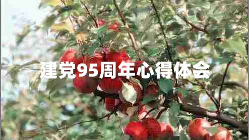 建党95周年心得体会