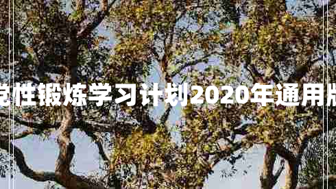 党性锻炼学习计划2020年通用版