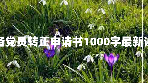 预备党员转正申请书1000字最新讲话