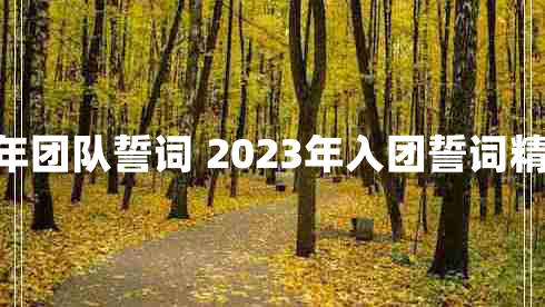 2023年团队誓词 2023年入团誓词精选6篇