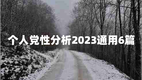 个人党性分析2023通用6篇