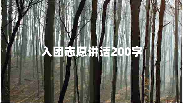 入团志愿讲话200字