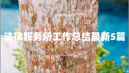 法律服务所工作总结最新5篇