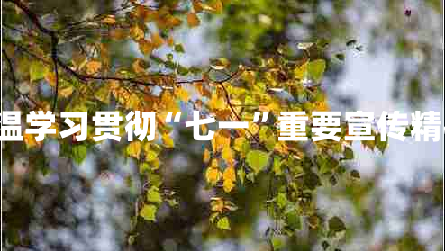 建党99周年重温学习贯彻“七一”重要宣传精神心得最新7篇