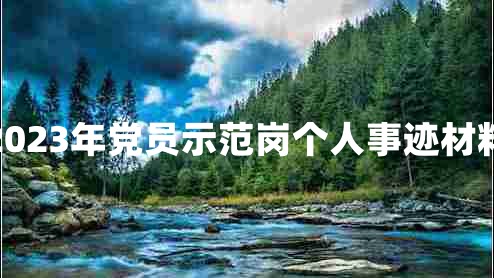 2023年党员示范岗个人事迹材料