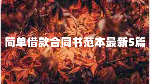 简单借款合同书范本最新5篇