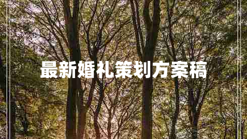 最新婚礼策划方案稿