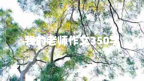 我的老师作文350字