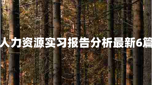 人力资源实习报告分析最新6篇