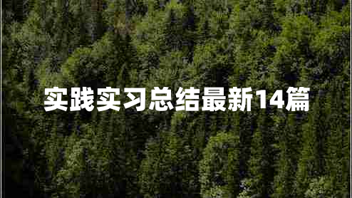 实践实习总结最新14篇