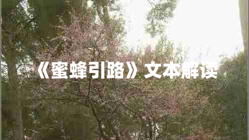 《蜜蜂引路》文本解读