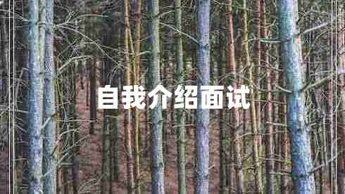 自我介绍面试