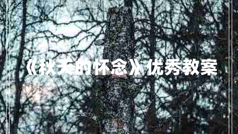 《秋天的怀念》优秀教案