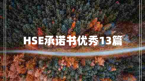 HSE承诺书优秀13篇