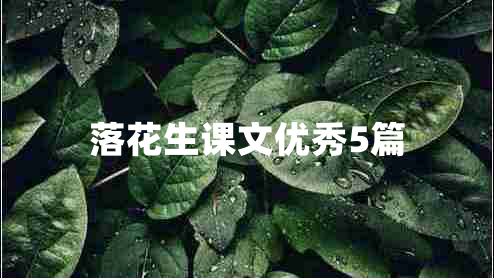 落花生课文优秀5篇