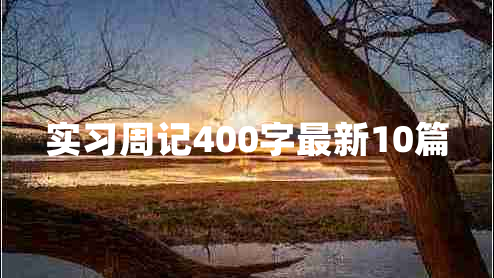 实习周记400字最新10篇