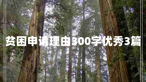 贫困申请理由300字优秀3篇