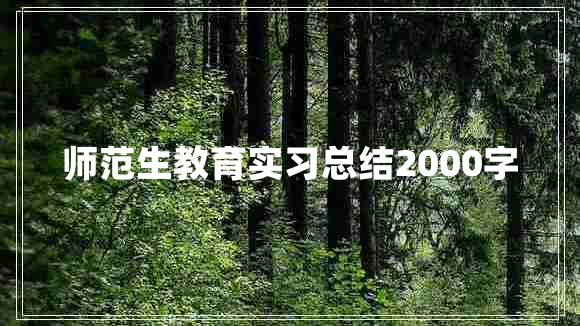 师范生教育实习总结2000字