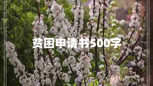 贫困申请书500字