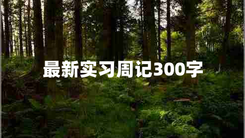 最新实习周记300字