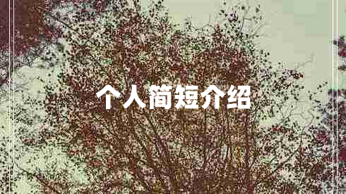 个人简短介绍