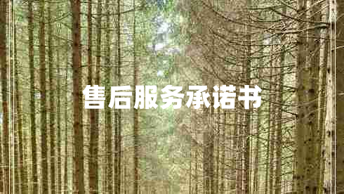 售后服务承诺书