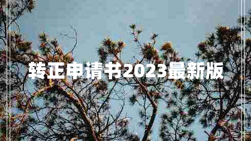 转正申请书2023最新版