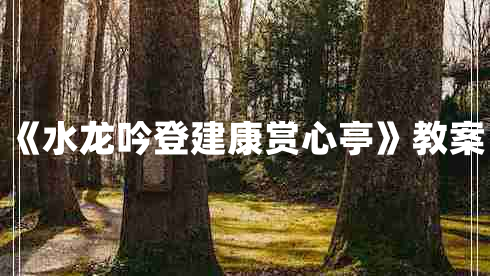 《水龙吟登建康赏心亭》教案