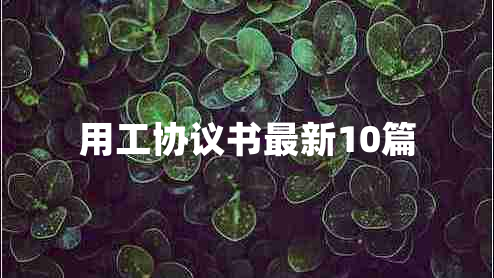 用工协议书最新10篇