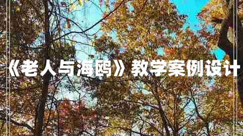 《老人与海鸥》教学案例设计