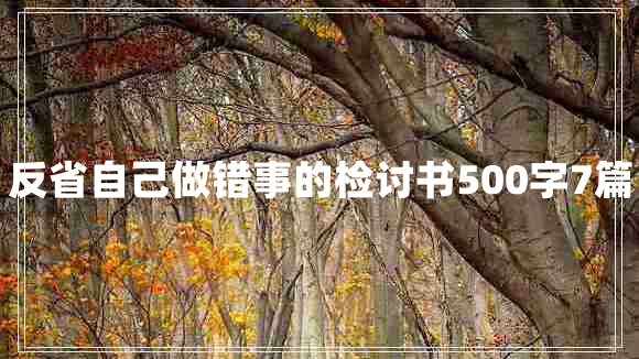 反省自己做错事的检讨书500字7篇